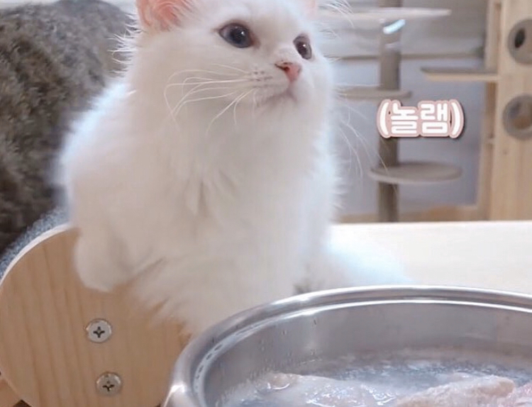 ㅏㅏㅓ 이미지