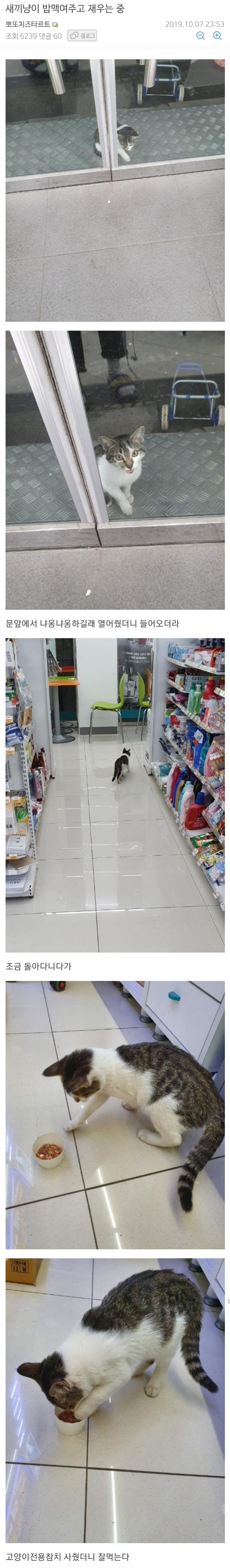 새끼 냥이 밥 주고 재워준 편의점 알바.jpg | 인스티즈