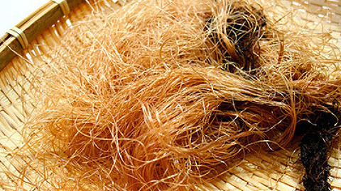 여러분들이 대변 본 후 닦기위해 사용하는 것은? | 인스티즈