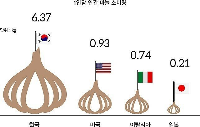 국가별 1인당 마늘 소비량 | 인스티즈
