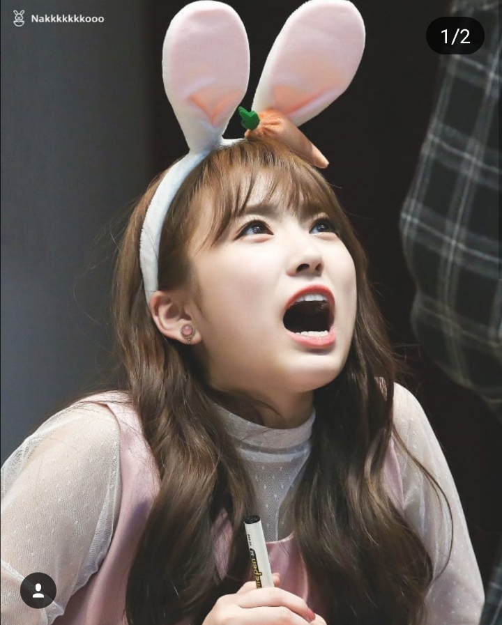 끼어버린 김나코ㅋㅋㅋㅋㅋㅋㅋㅋㅋㅋ (아이즈원) | 인스티즈