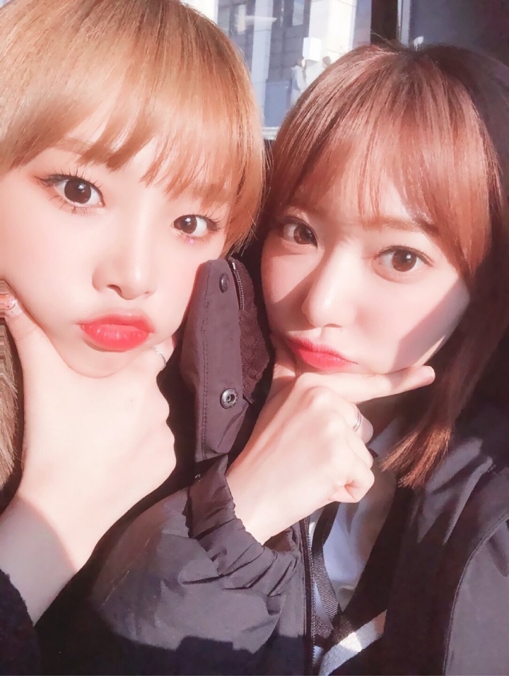 아이즈원 미야와키 사쿠라 랜덤짤 49 | 인스티즈