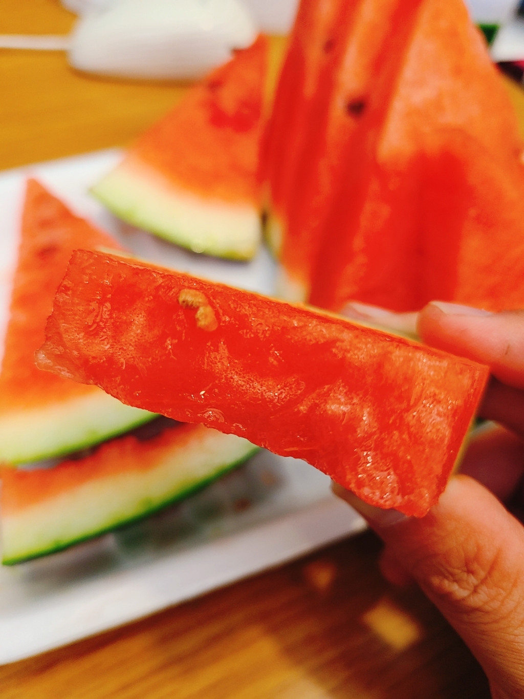 갤럭시s20+ 카메라로 찍은 사진 모음 | 인스티즈