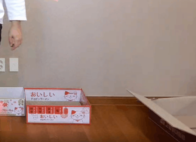 트위치 최고냥이 | 인스티즈