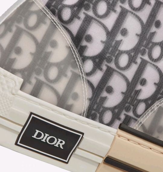 디올 오블리크 테크니컬 캔버스 B23 하이탑 스니커즈 | 인스티즈