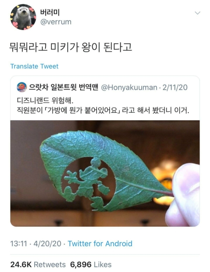 한국인들이 보면 흠칫할 나뭇잎.jpg | 인스티즈