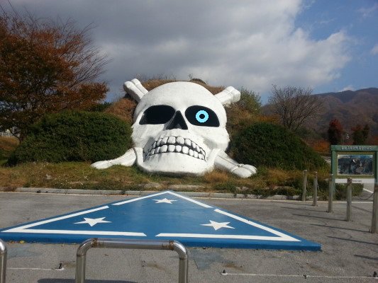 대한민국 해골마크 부대.jpg | 인스티즈