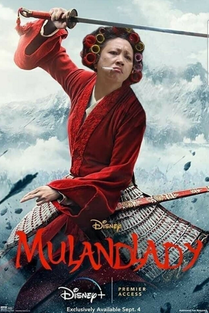 뮬란 새 포스터 | 인스티즈