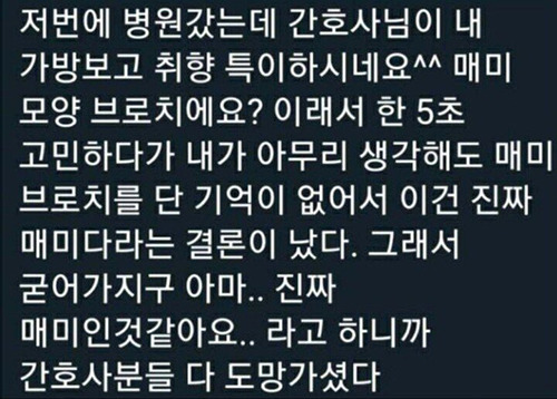 난장판 5초전 | 인스티즈