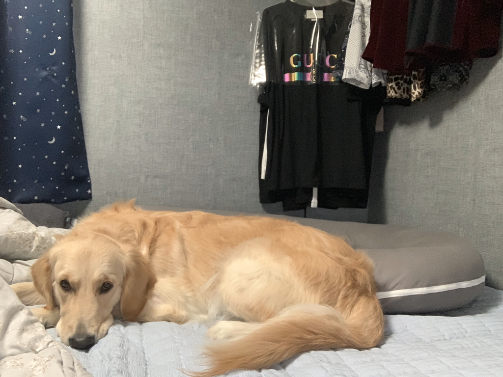 실물깡패 연예인 甲 ;; | 인스티즈