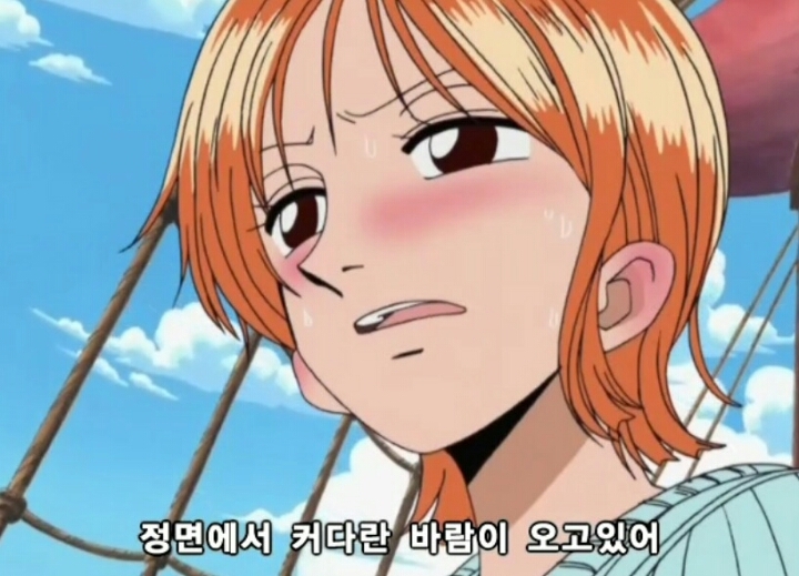 원피스 루피해적단에서 가장 필요한 존재.jpg | 인스티즈