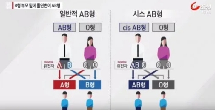 A형과 O형 부모 사이에서 AB형 자녀가 나올 수 있을까? | 인스티즈