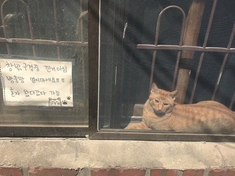 낀거 아니에용 ㅠㅠㅠ..jpg | 인스티즈