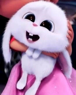 마이펫의 이중생활에서 핵귀여운 스노우볼.gif | 인스티즈