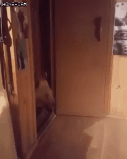 러시아식 위로.gif | 인스티즈