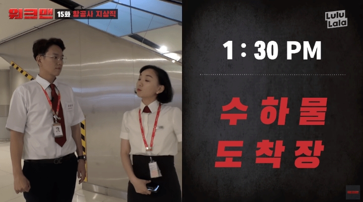 항공사에서 일하는 장성규 ㅋㅋㅋㅋㅋㅋㅋㅋㅋㅋ | 인스티즈