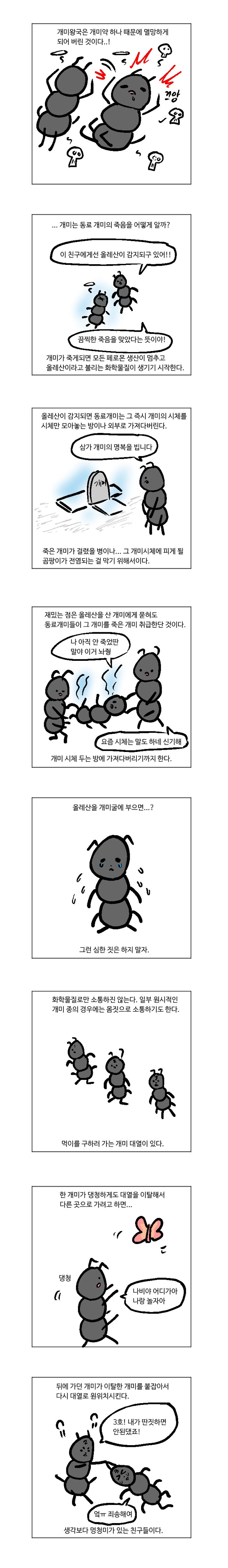 개미와 페로몬 이야기 | 인스티즈