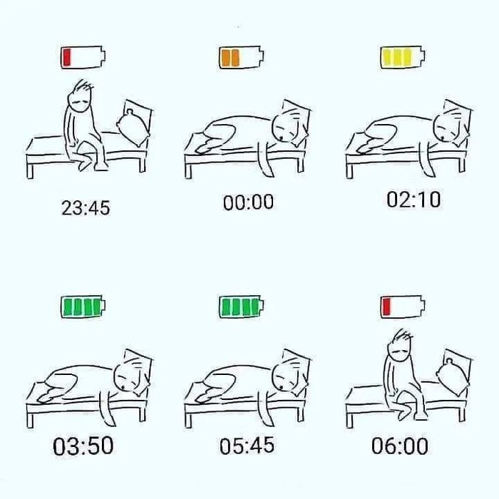 직장인이 체력 회복하는 법 | 인스티즈