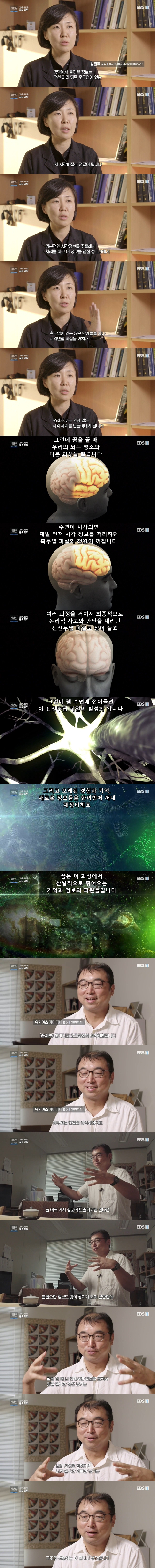 꿈의 내용이 이상한 이유.jpg | 인스티즈