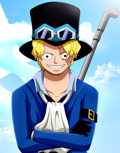 재미로보는 원피스 전투력 top21 | 인스티즈