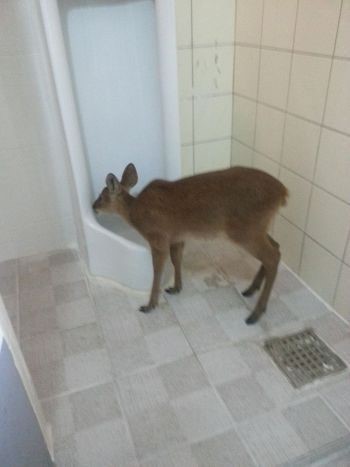 하..핥지마 거긴 오줌싸는곳이란 말이야 | 인스티즈