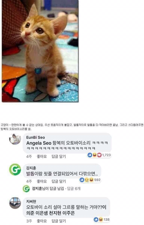 동물이랑 싸워서 이기는 법 | 인스티즈