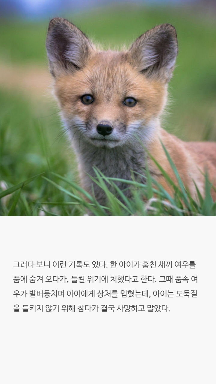 8e82a7fff968893ff755599affca07df63d19764