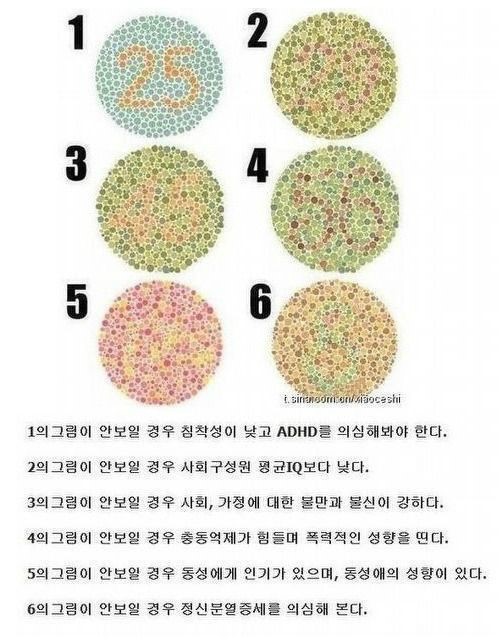 색맹이 보는 세상 | 인스티즈