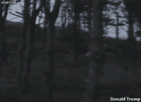 UDT/SEAL 실제 훈련짤.gif | 인스티즈