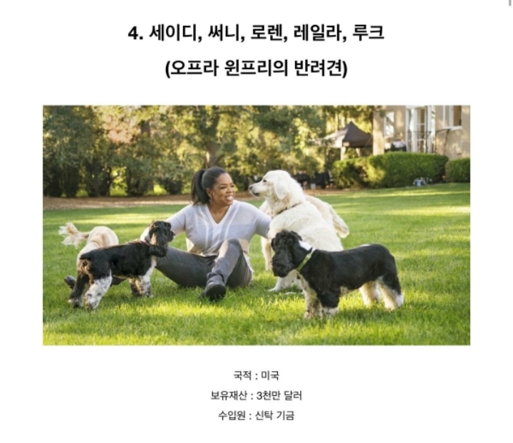 전세계에서 제일 부자인 동물 Top5 .JPG | 인스티즈