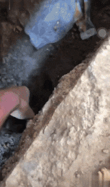 댕댕이 구출해줌.gif | 인스티즈