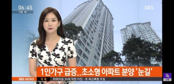 급증하는 1인가구,인기 폭발했었던 미니 아파트.jpg | 인스티즈