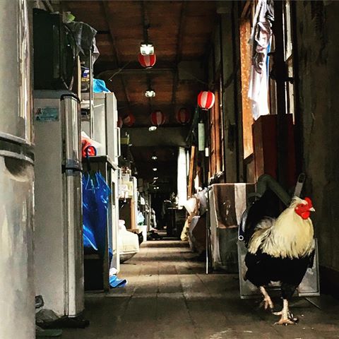 일본 명문대중 하나인 교토대학교의 기숙사.jpg | 인스티즈