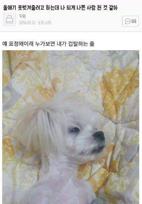 울 애기 옷벗겨주려고 하는데 나 되게 나쁜사람 된거같아 | 인스티즈