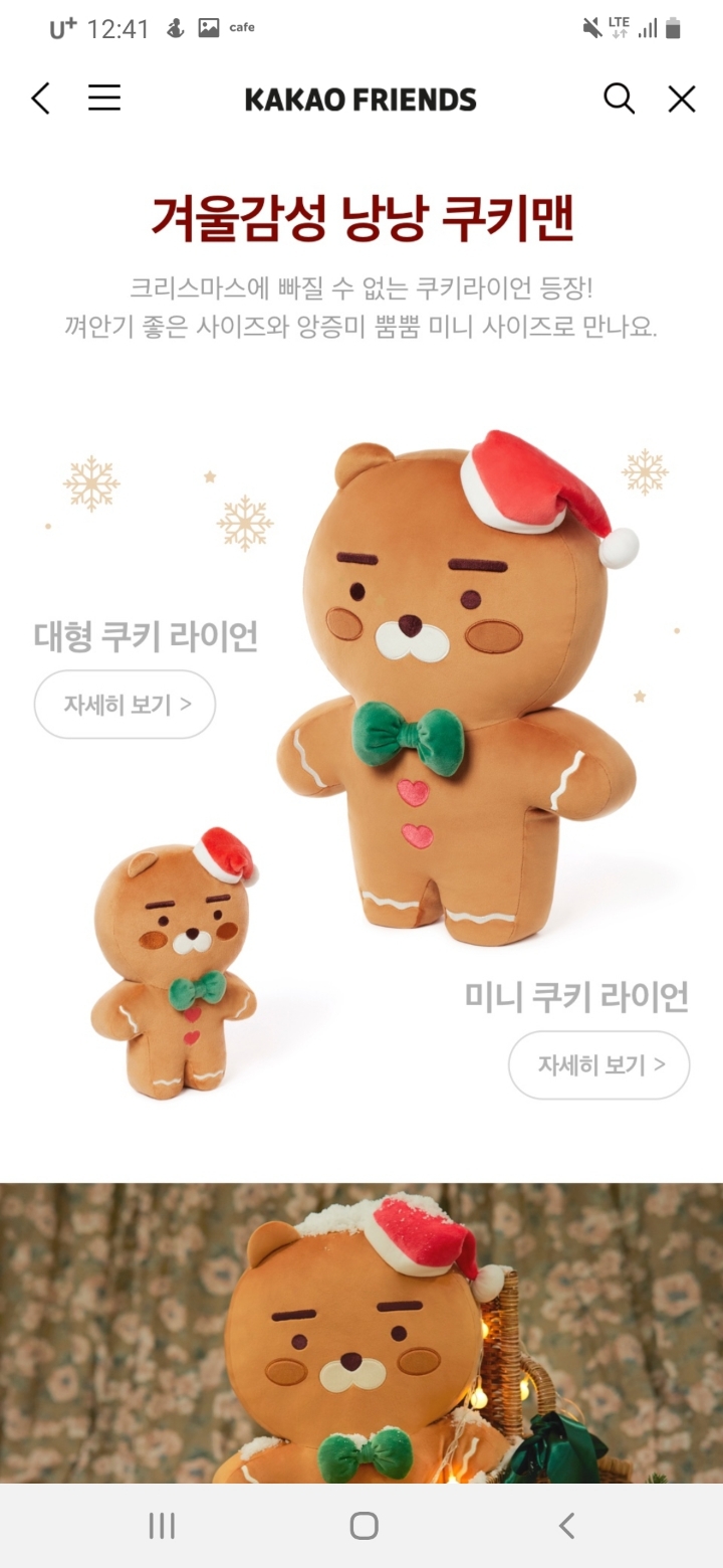 카카오프렌즈 겨울에디션 윈터 원더랜드 | 인스티즈