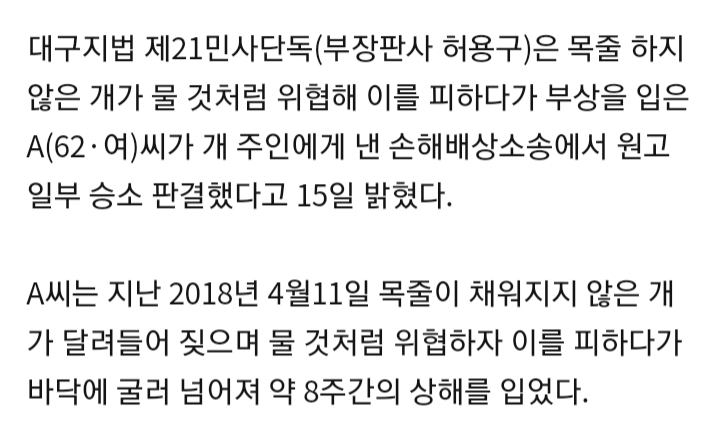 법원, "야간에 목줄 없는 개 피하다 입은 부상 100% 개주인 책임" | 인스티즈