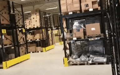 ㅂㅅ같지만 멋있어.gif | 인스티즈