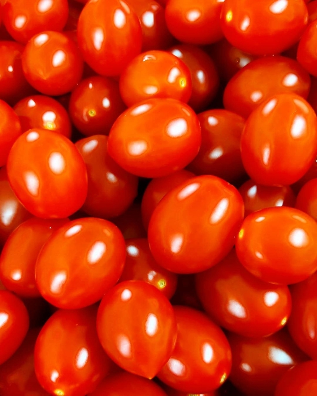 다이어트 하는 사람들이 많이 먹는다는 거 | 인스티즈