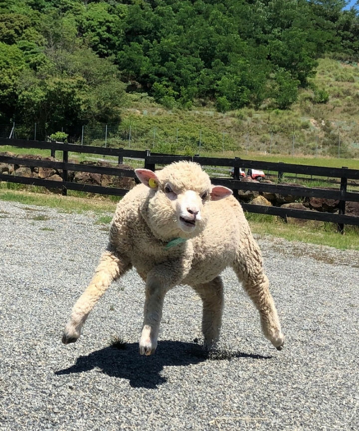 피규어 장인 근황.JPG | 인스티즈