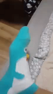 길 가는데 시비거는 새끼.gif | 인스티즈