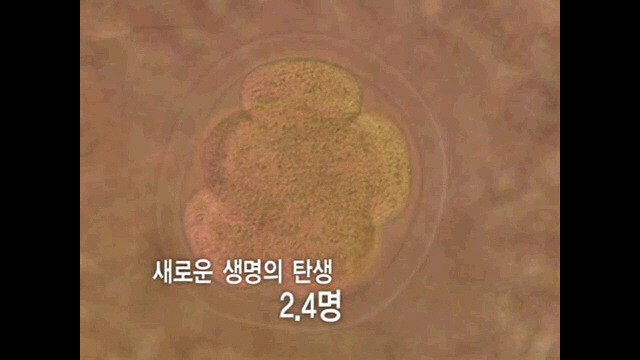 1초 동안 우주에서 벌어지는 일 | 인스티즈