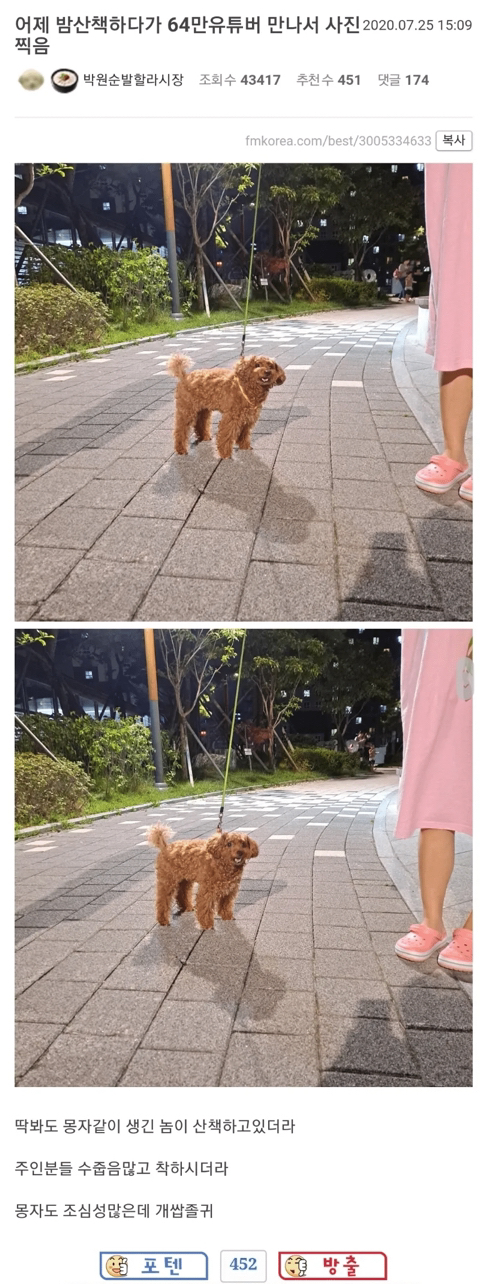길에서 60만 유튜버를 만난 펨코인.jpg | 인스티즈