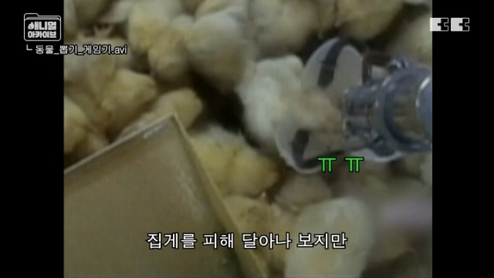 잼민이들은 모르는 저세상 인형뽑기 ㄷㄷㄷㄷ | 인스티즈