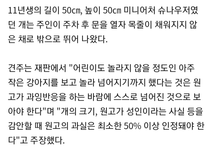 법원, "야간에 목줄 없는 개 피하다 입은 부상 100% 개주인 책임" | 인스티즈