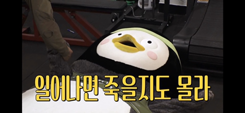 펭귄과 대머리가 운동하는 헬스장이 있다?!.jpg | 인스티즈