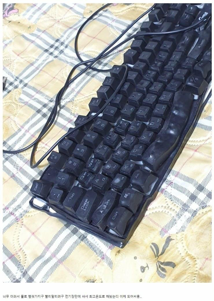 키보드 대참사 | 인스티즈