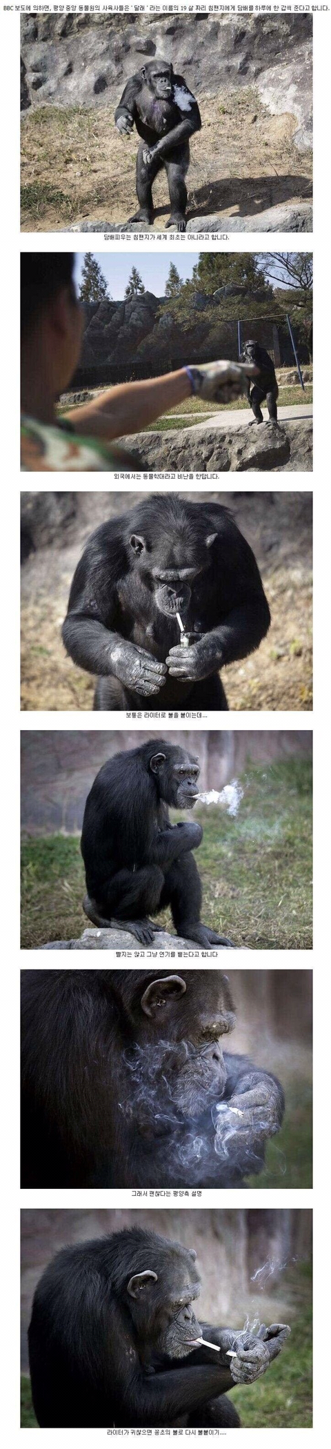 19살에 겉담배하고 다니는 패근충.jpg | 인스티즈