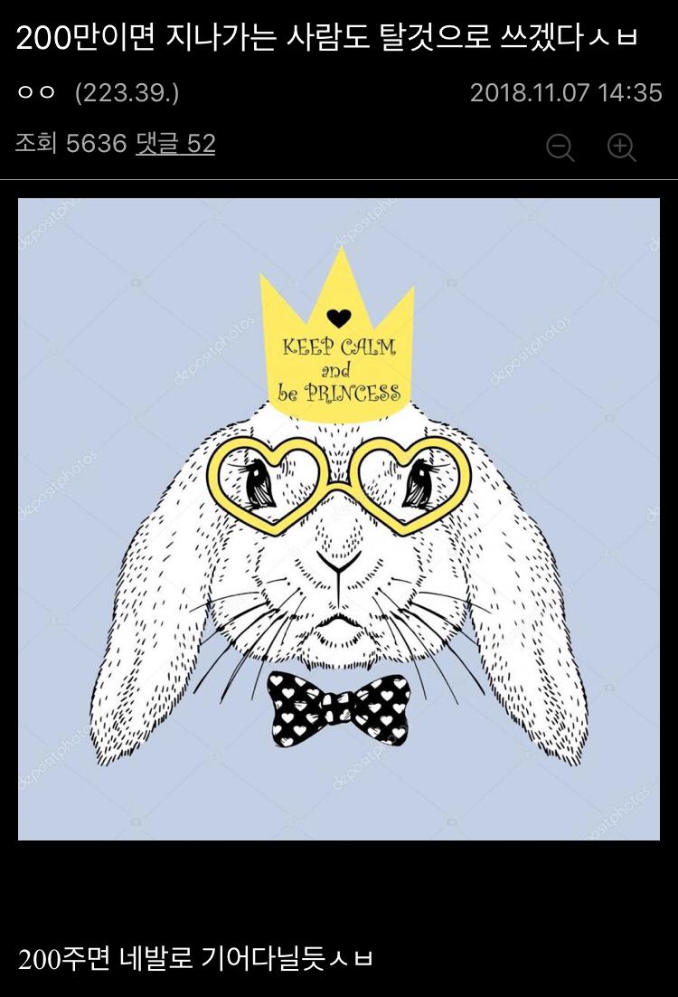 로스트아크 200만원짜리 탈것... 디씨 반응...jpg | 인스티즈