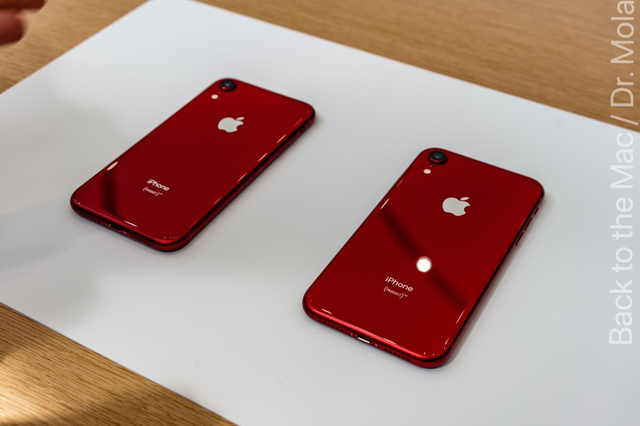 내가 구매한 아이폰은? (아이폰Xs/Xs맥스/XR) | 인스티즈