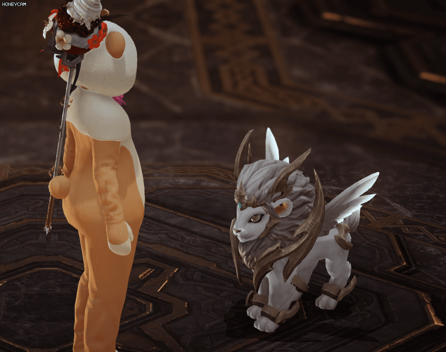 로스트아크에 출시된 가디언펫들 | 인스티즈